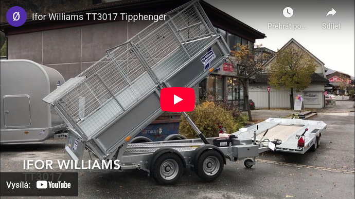 TT3017 Tipphenger